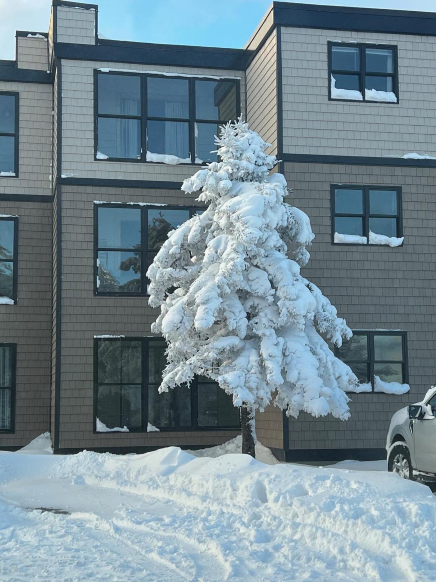 Snowcrest Condo Walking Distance To Slopes スノーシュー エクステリア 写真
